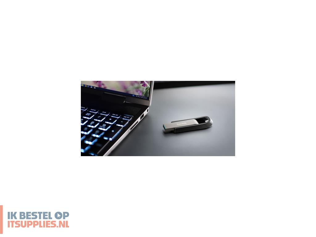 1700984-sandisk_extreme_go_usb_flash_drive_256_gb_usb_type-a_32_gen_1_31_gen_1_roestvrijstaal