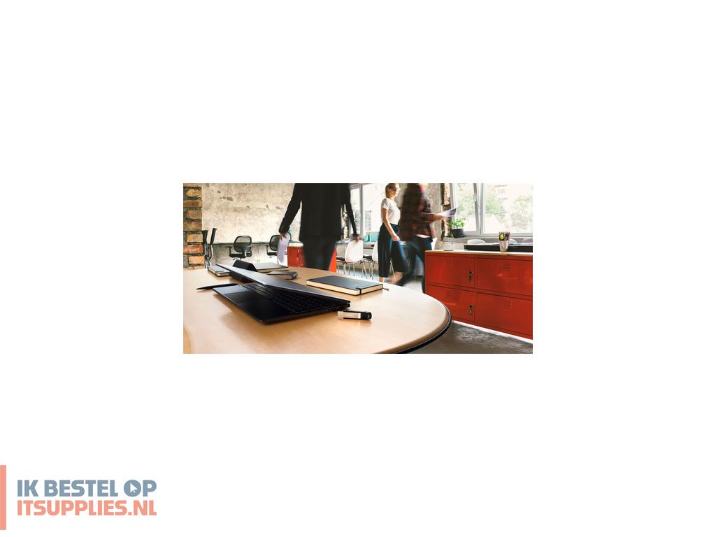 1702878-sandisk_extreme_go_usb_flash_drive_256_gb_usb_type-a_32_gen_1_31_gen_1_roestvrijstaal