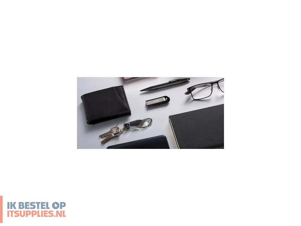 1704688-sandisk_extreme_go_usb_flash_drive_256_gb_usb_type-a_32_gen_1_31_gen_1_roestvrijstaal