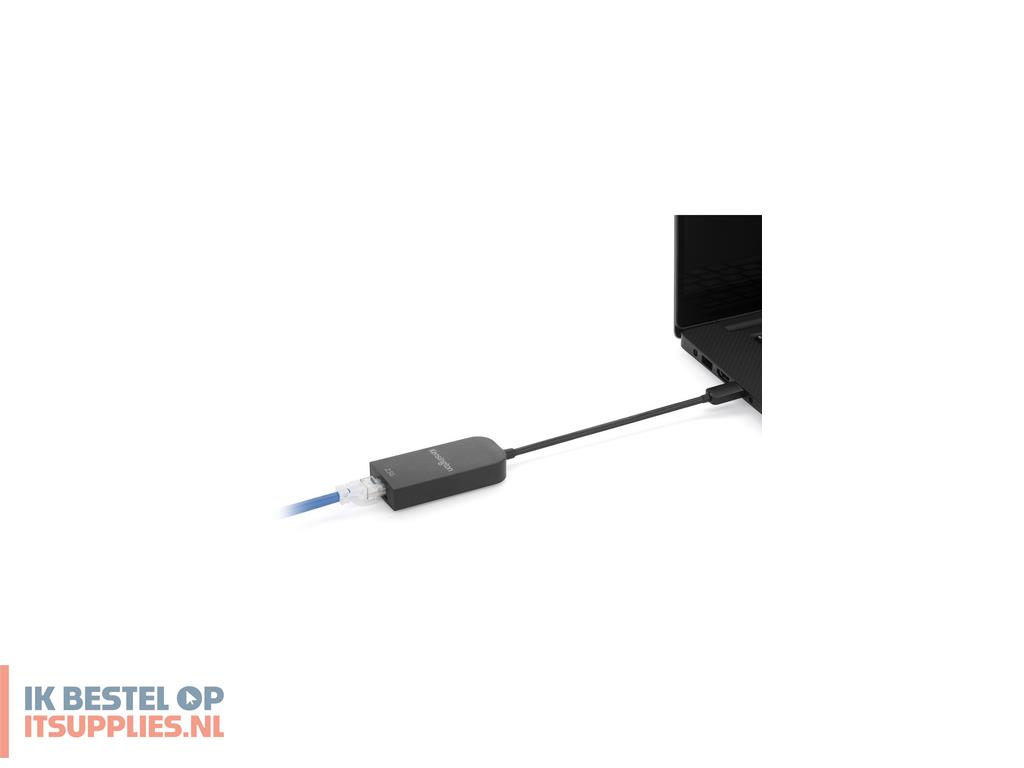 4945348-kensington_k38285ww_netwerkkaart_2500_mbits