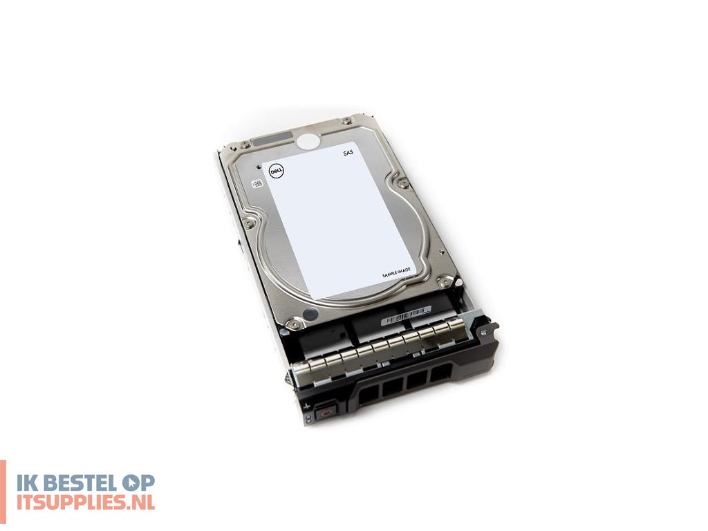 5156113-dell_400-alny_interne_harde_schijf_4_tb_7200_rpm_35_sas