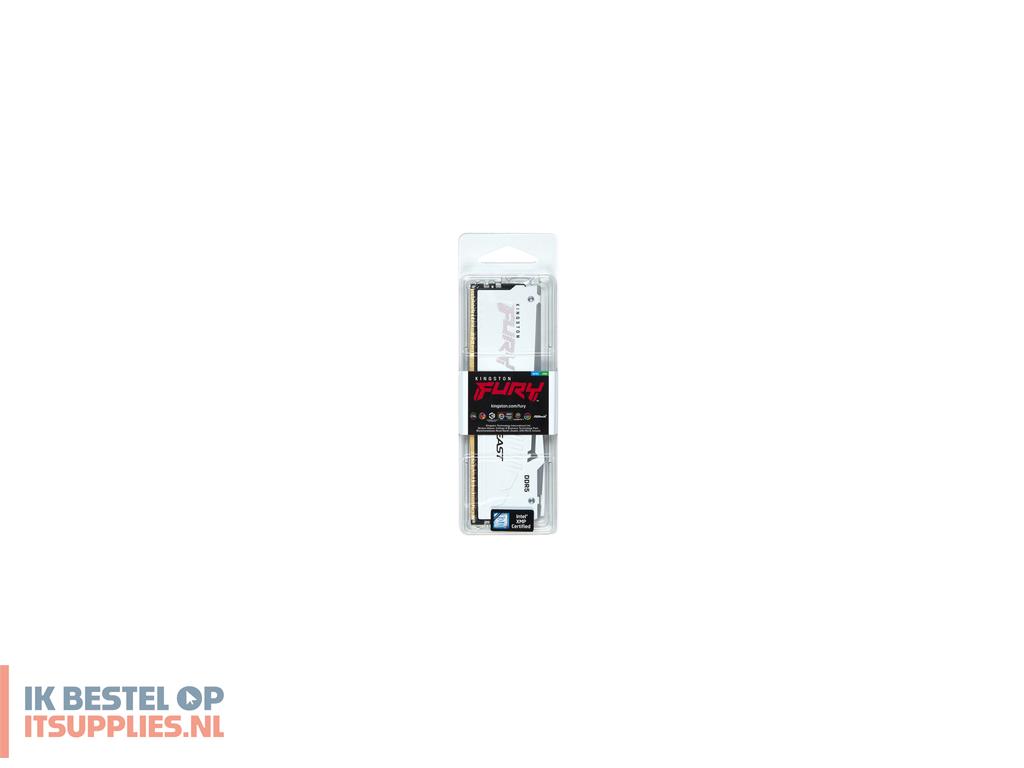 4636004-kingston_technology_fury_beast_rgb_geheugenmodule_1_x_16_gb_5600_mts