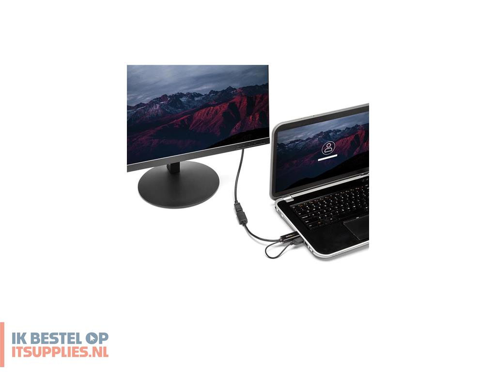 1647703-startechcom_hd2dp_video_kabel_adapter_zwart