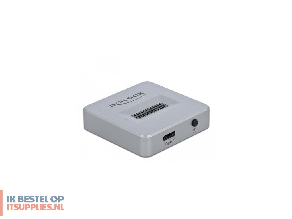3143126-delock_64000_basisstation_voor_opslagstations_zilver