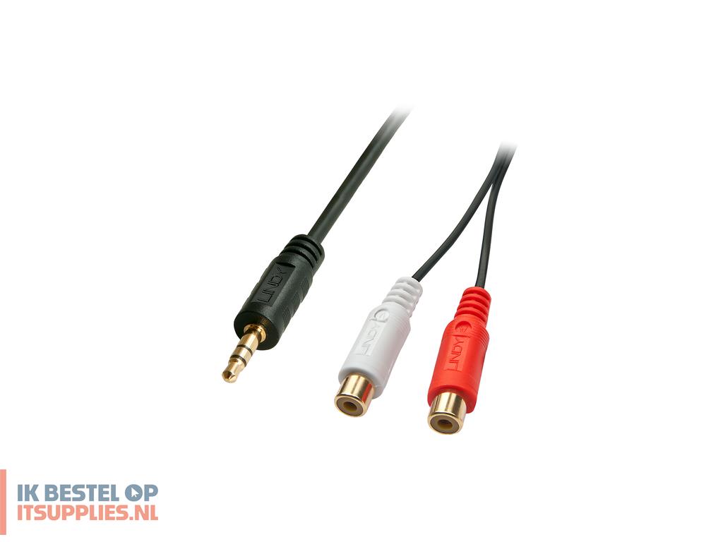 3119150-lindy_35678_audio_kabel_0-25_m_2_x_rca_35mm_zwart-_rood-_wit
