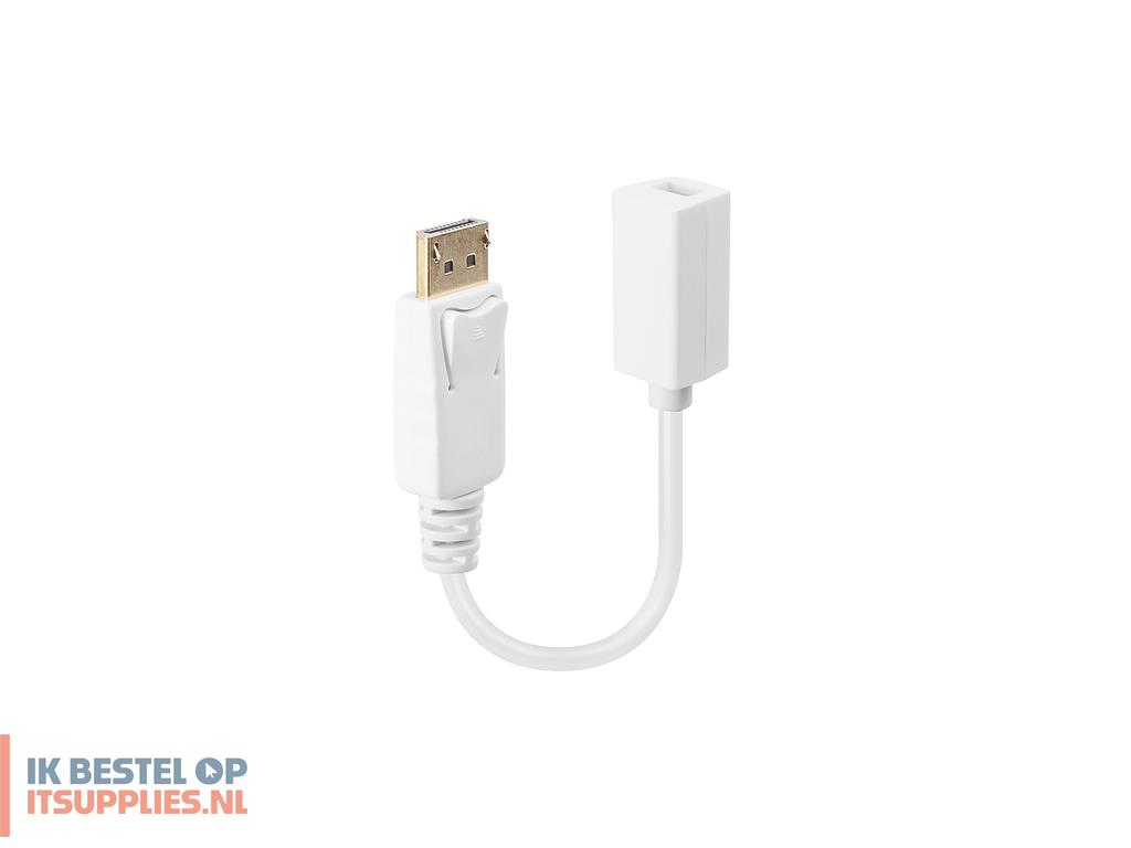 3123318-lindy_41060_video_kabel_adapter_0-15_m_displayport_mini_displayport_wit