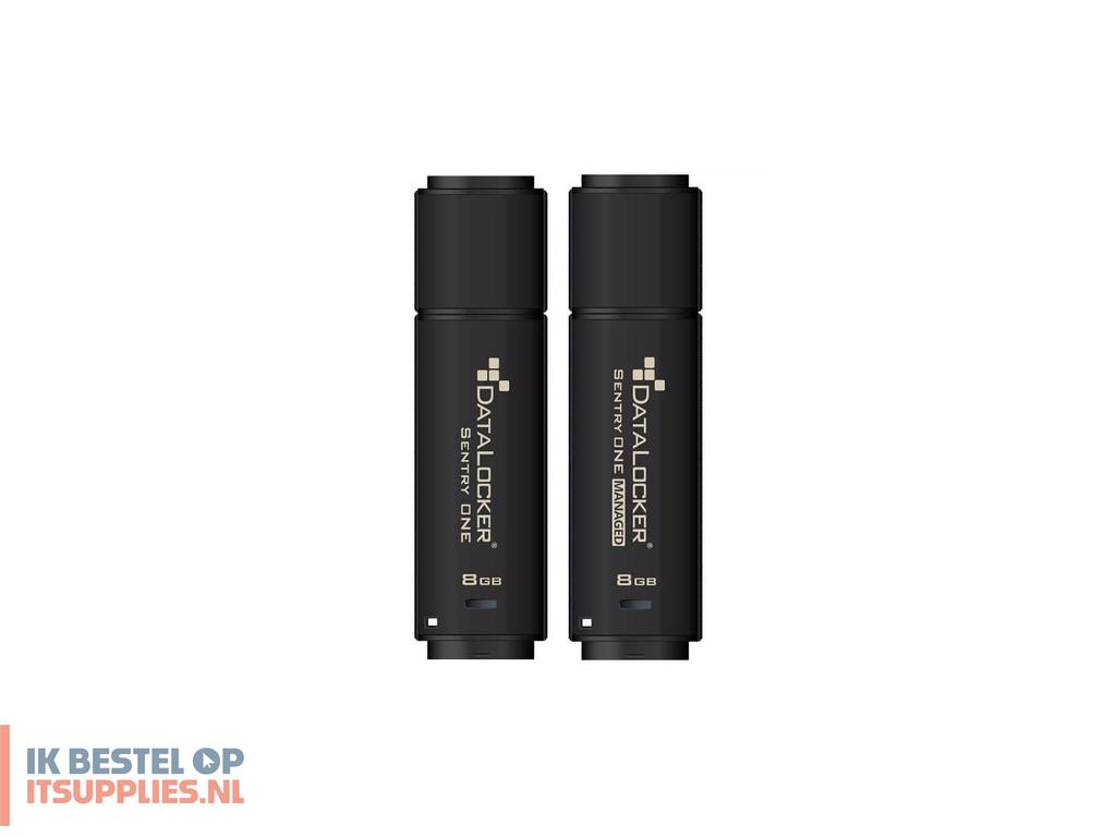 0420031-datalocker_sentry_one_usb_flash_drive_128_gb_usb_type-a_32_gen_1_31_gen_1_zwart