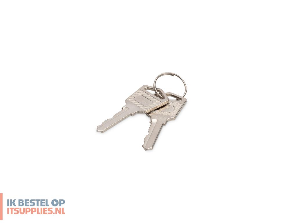 5002294-digitus_dn-45000-key_rack-toebehoren_vergrendelsleutel