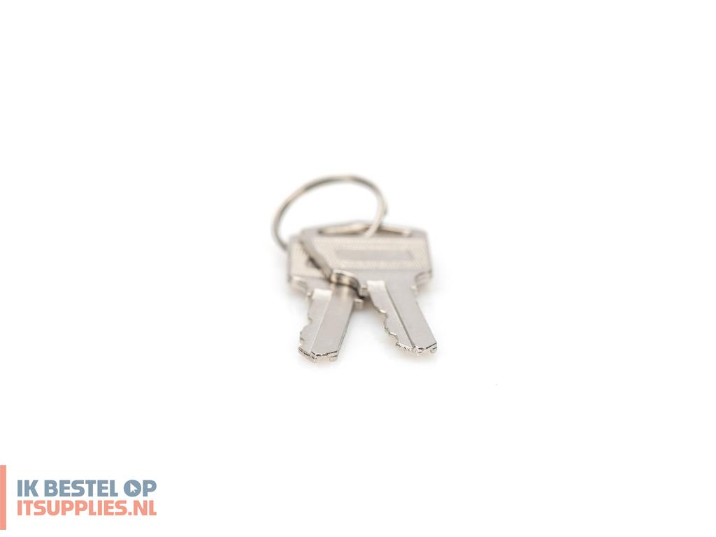 5009370-digitus_dn-45000-key_rack-toebehoren_vergrendelsleutel