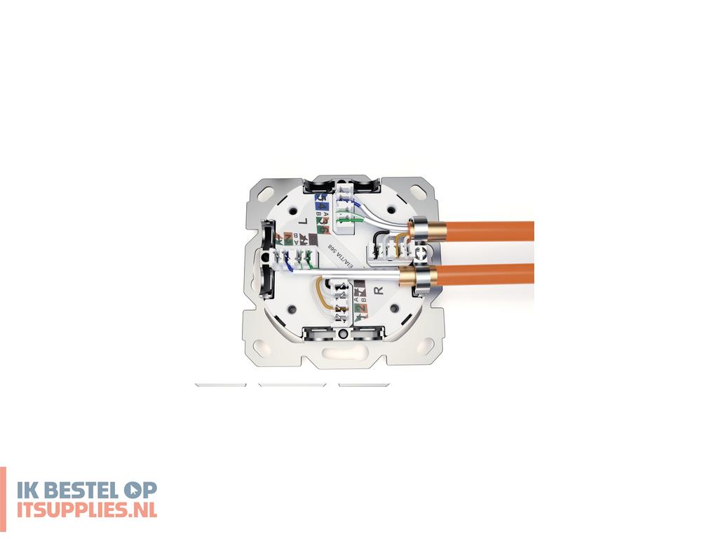 0151479-digitus_dn-90108-2_wandcontactdoos_2_x_rj-45_wit
