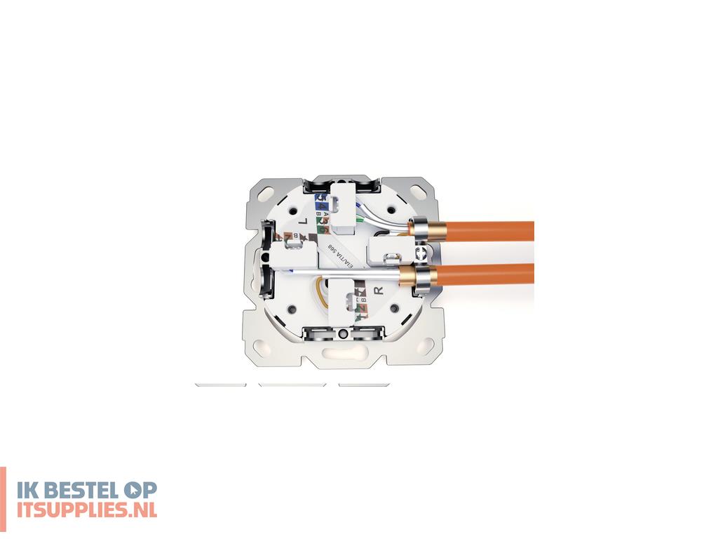 0153661-digitus_dn-90108-2_wandcontactdoos_2_x_rj-45_wit